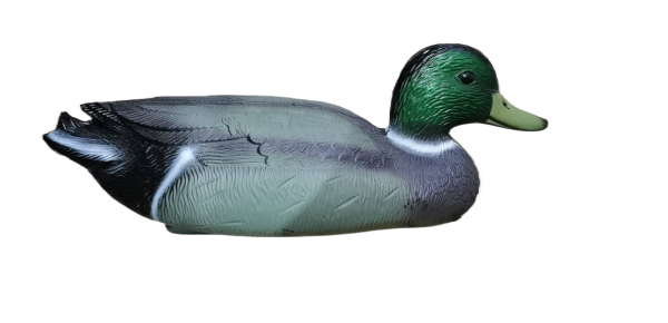 señuelo de pato