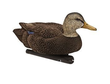 señuelo de pato