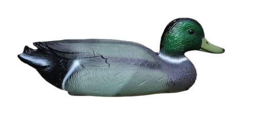 señuelo de pato